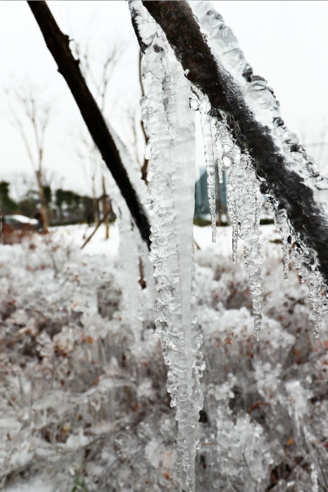 一場雪，體育中心美得不要不要的 但最美的風(fēng)景還是他們(圖4)