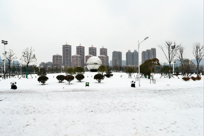 一場雪，體育中心美得不要不要的 但最美的風(fēng)景還是他們(圖2)