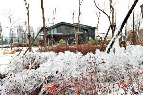 一場雪，體育中心美得不要不要的 但最美的風(fēng)景還是他們(圖3)