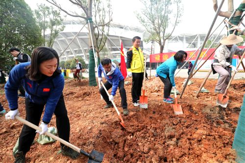 體育中心開展植樹活動</br>建香樟大道為軍運會建設添綠