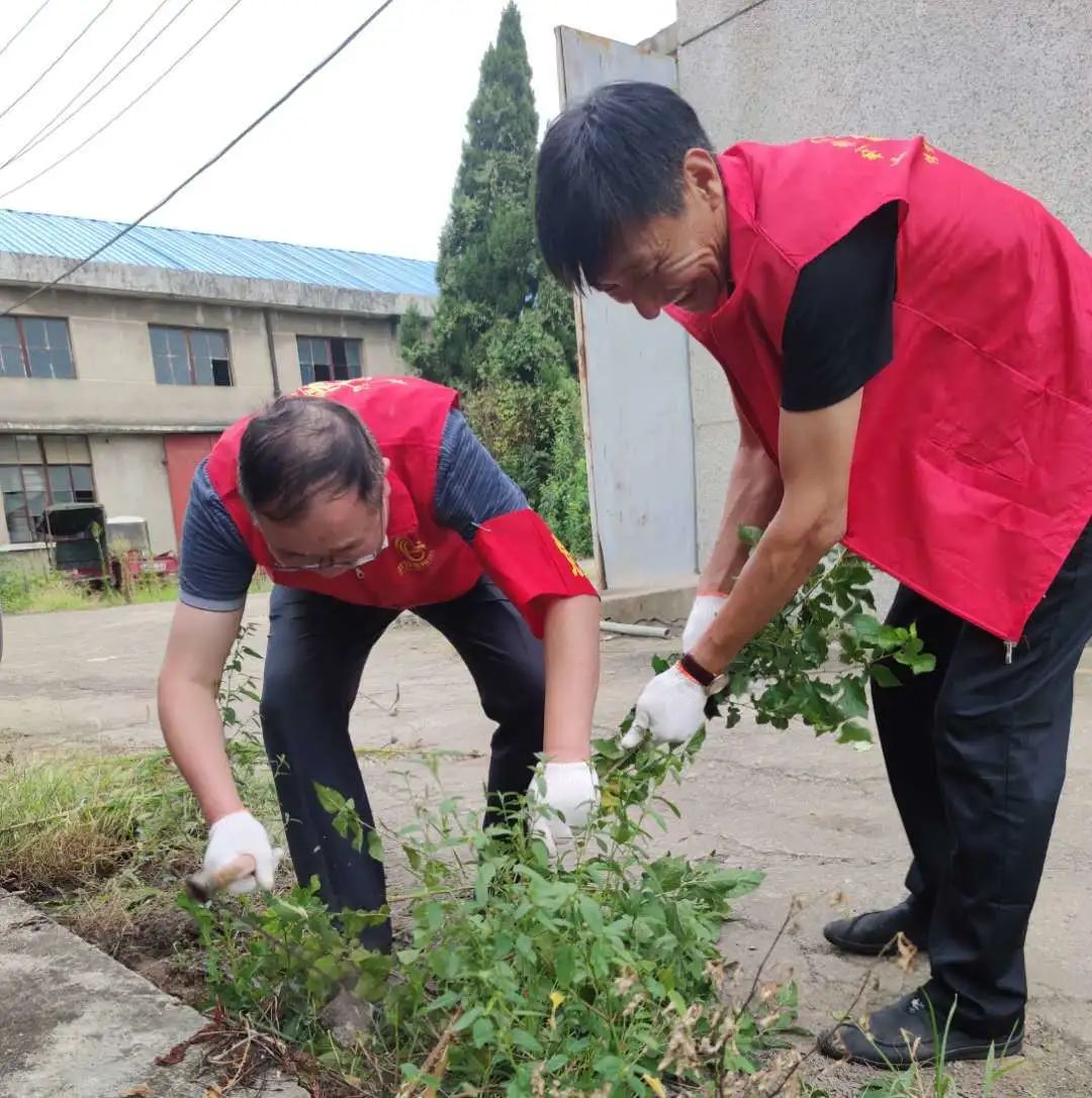 公司黨員下沉社區(qū)開展志愿服務(wù)(圖5)